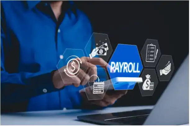 Payroll management dashboard